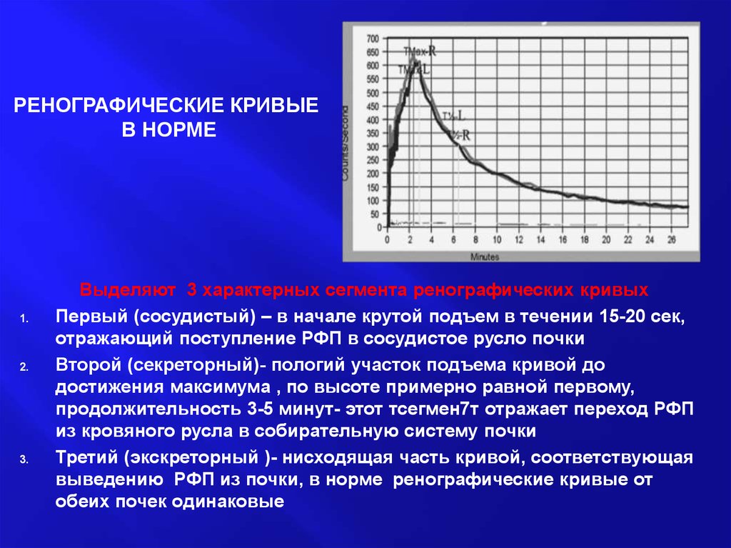 Кривая норма