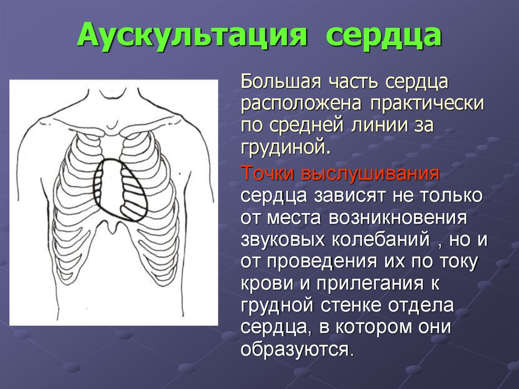 Аускультация сердца. Аускультация сердца и легких алгоритм. Перкуссия сердца и аускультация сердца. Аускультация сердца алгоритм.