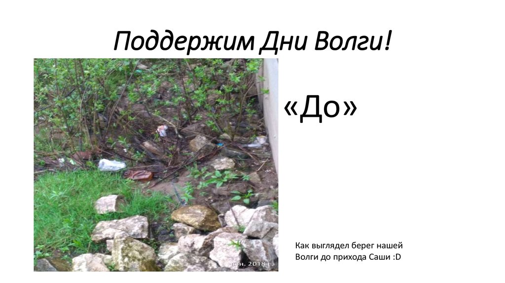 Поддержим Дни Волги!