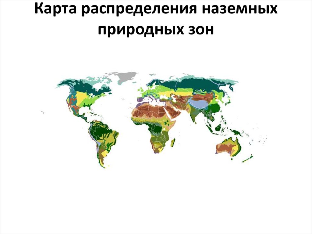 Природные зоны земли 5 класс география презентация