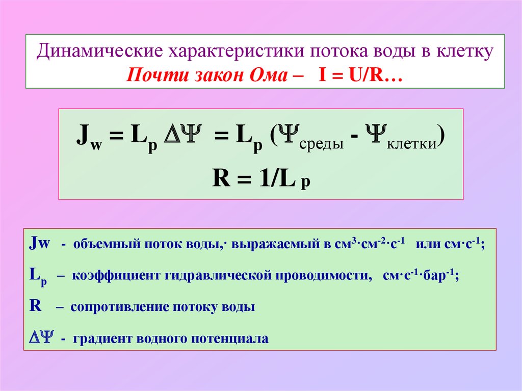 Динамические параметры и характеристики. Динамические характеристики. Характеристики потока. Свойства потока. Градиент водного потенциала.