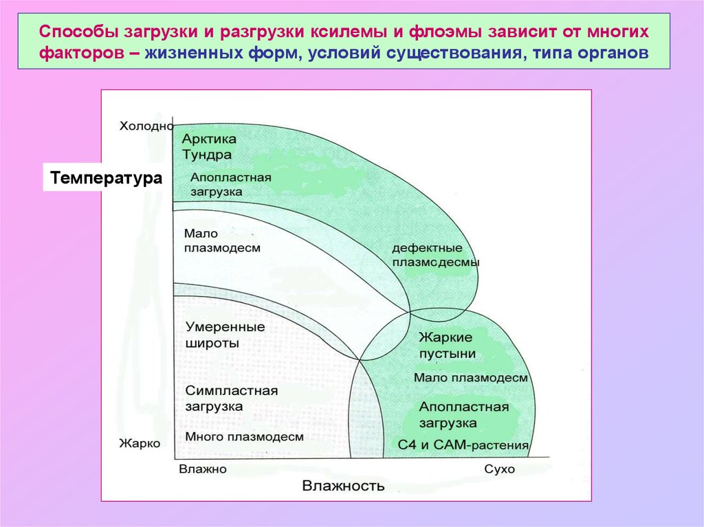 Обмен растениями