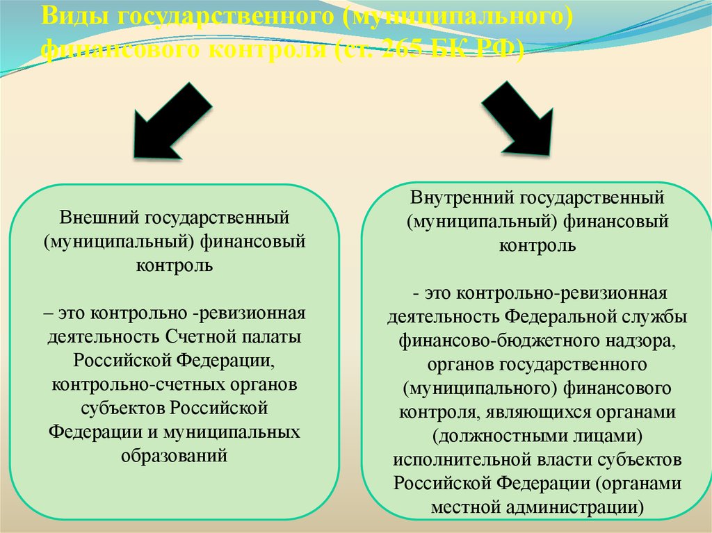 Виды государственного (муниципального) финансового контроля (ст. 265 БК РФ)