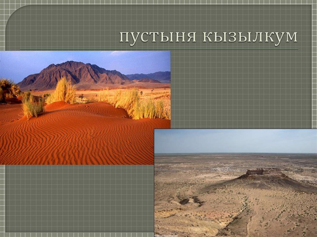 пустыня кызылкум