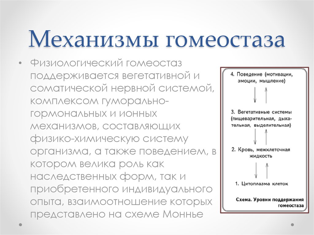 А также поведением. Механизмы регуляции гомеостаза. Механизмы поддержания физиологического гомеостаза. Механизмы регуляции гомеостаза кратко. Механизмы поддержания гемостаза.