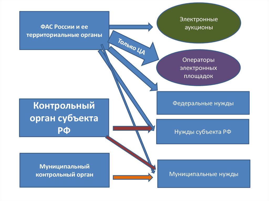 Федеральные нужды. Территориальные органы субъектов РФ. ФАС ее территориальные органы. Субъекты ФАС.