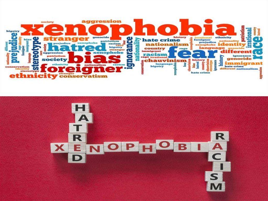 Xenophobia. Types of xenophobia.Causes of xenophobia - online presentation