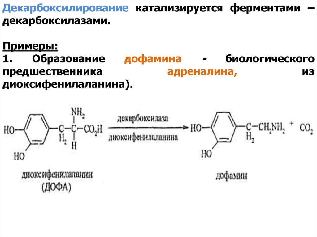 Адреналин образуется. Дофа дофамин реакция. Декарбоксилирование фенилаланина реакция. Декарбоксилирование дофамина. Тирозин Дофа дофамин.