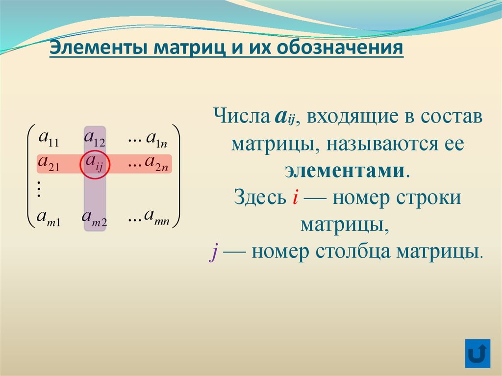 Элементы матрицы. Обозначение элементов матрицы.
