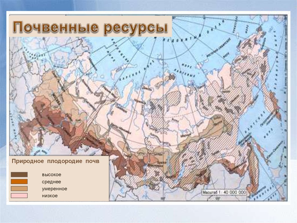 Почвенные ресурсы россии 8 класс презентация