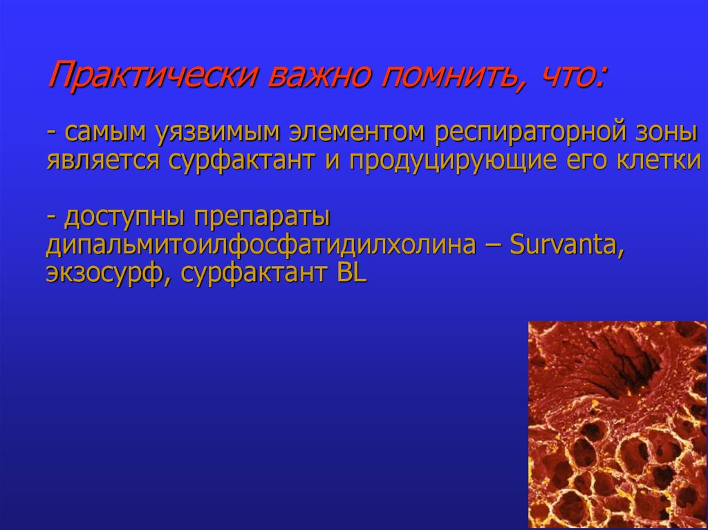 Практически важное. Респираторная зона. Дыхательная зона. Респираторная зона аппарата внешнего. Проводящая транзиторная респираторная зона.