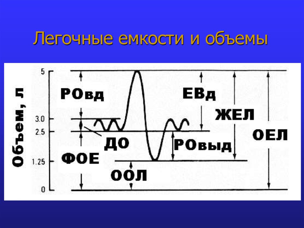 Легочные объемы схема