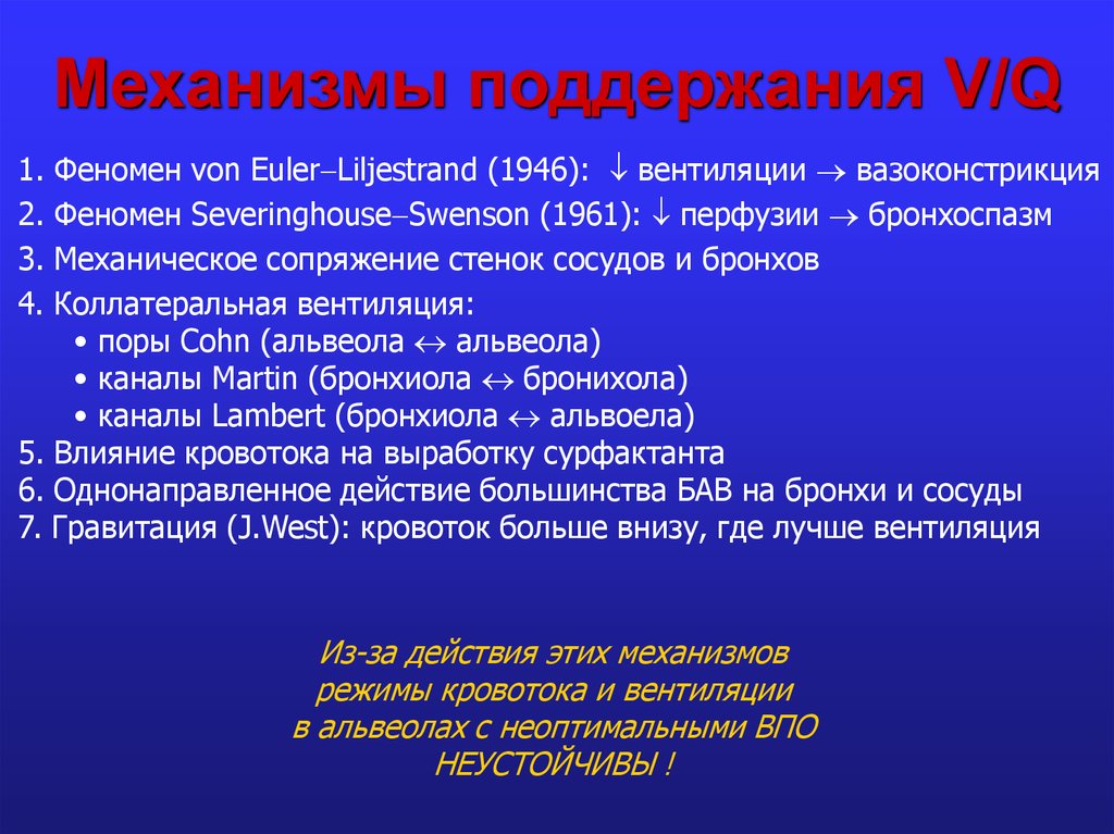 Механизмы поддержания. Механизмы поддержания проекта. Коллатеральная вентиляция легких это. Феномен коллатеральной вентиляции в легких. Эйлер механизм.