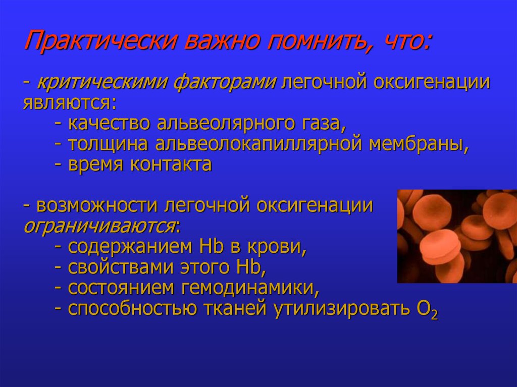 Практически важно помнить, что: - критическими факторами легочной оксигенации являются: - качество альвеолярного газа, -