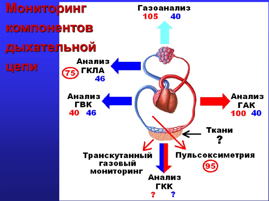 Мониторинг компонентов дыхательной цепи