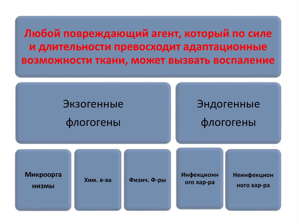 Травмирующий агент. Экзогенные и эндогенные флогогены. Экзогенные флогогены. Воспаление повреждающий агент. Флогогены патофизиология.