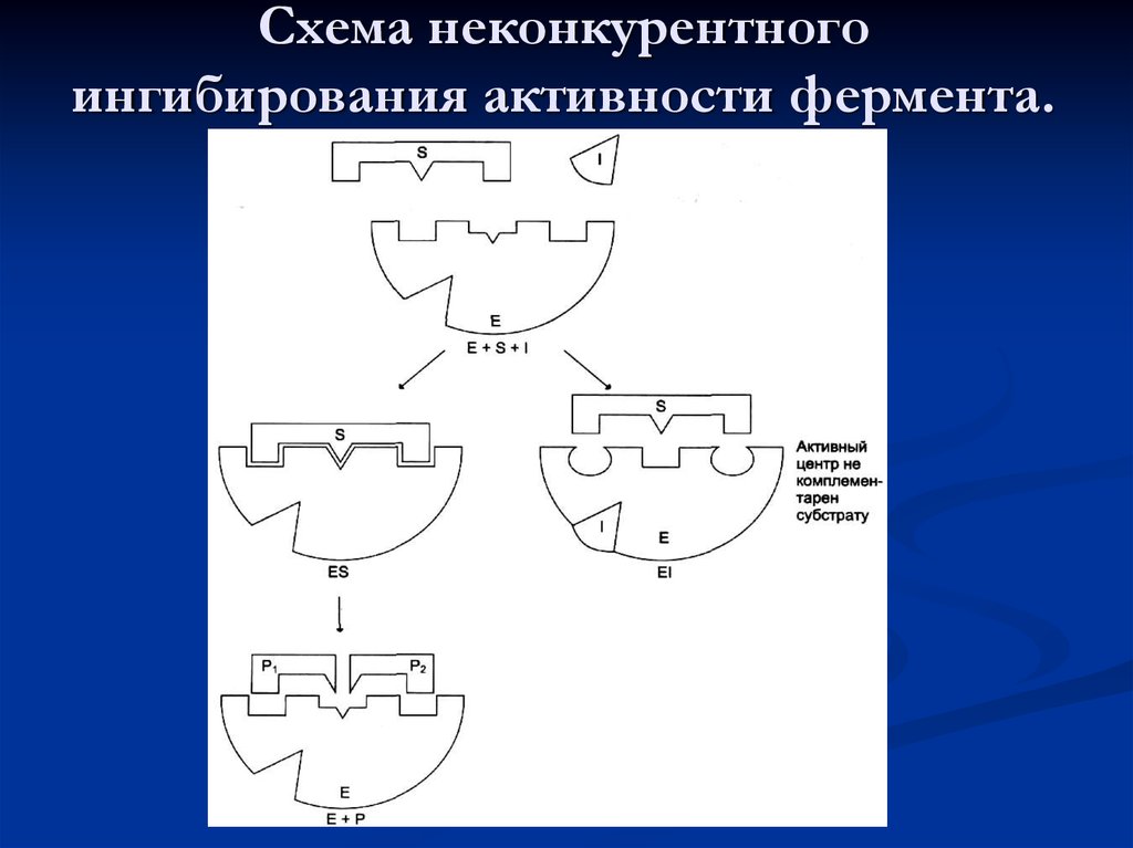 Схема конкурентного ингибирования