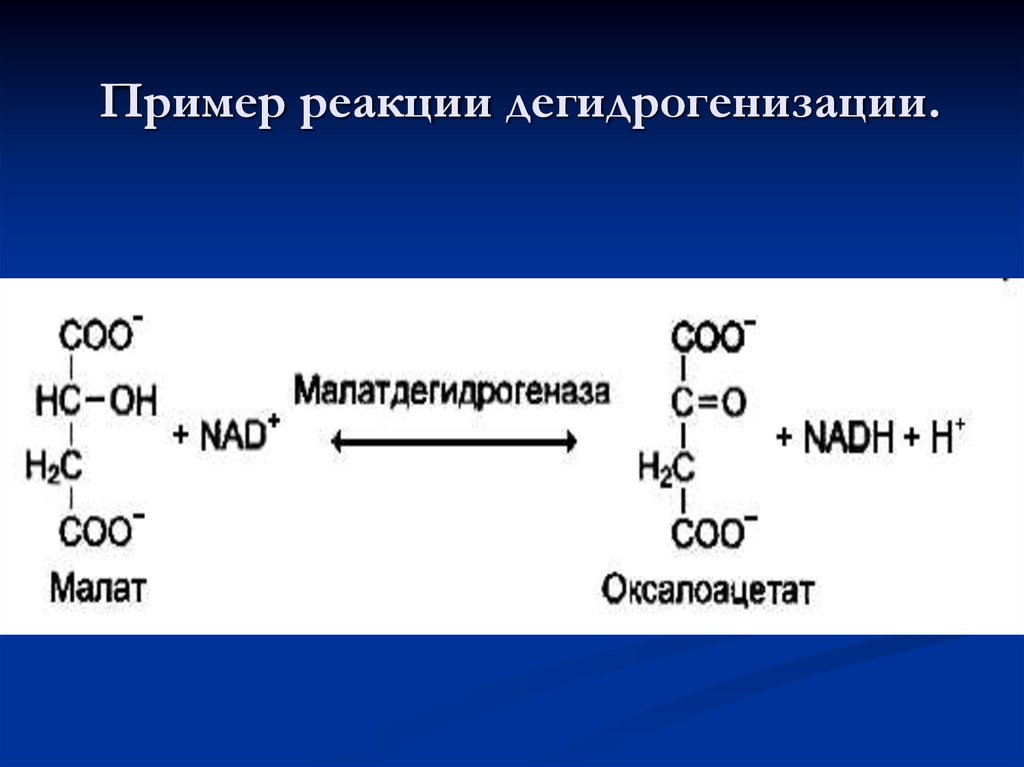 Примеры реакций. НАДФ малатдегидрогеназа. Реакции денитрогенезации. Малат дегидрогеназа реакция.