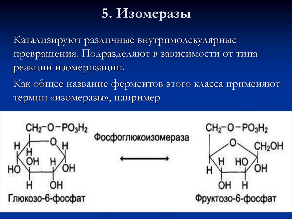 Реакции типа д. Образование дигидротестостерона катализирует фермент ?.