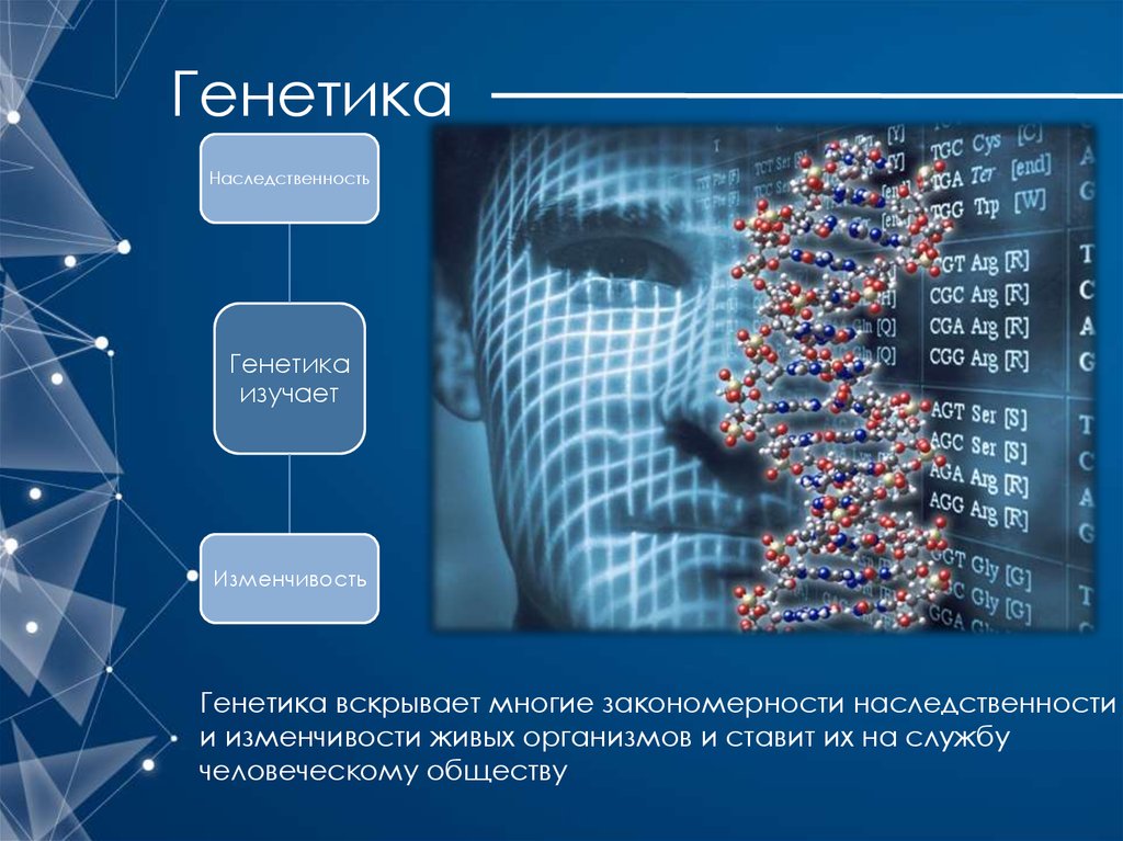 Генетика понятно. Генетика презентация. Наследственная генетика. Генетика наследственность. Генетика человека наследственность.