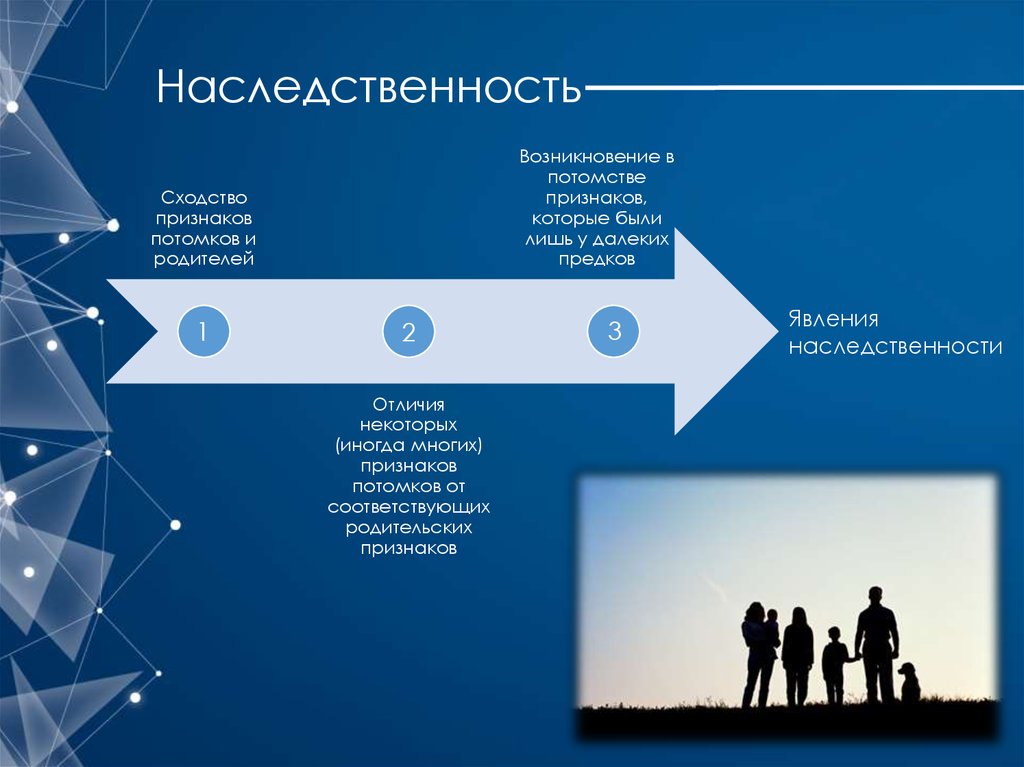 Группа людей отличающаяся наследственными внешними признаками