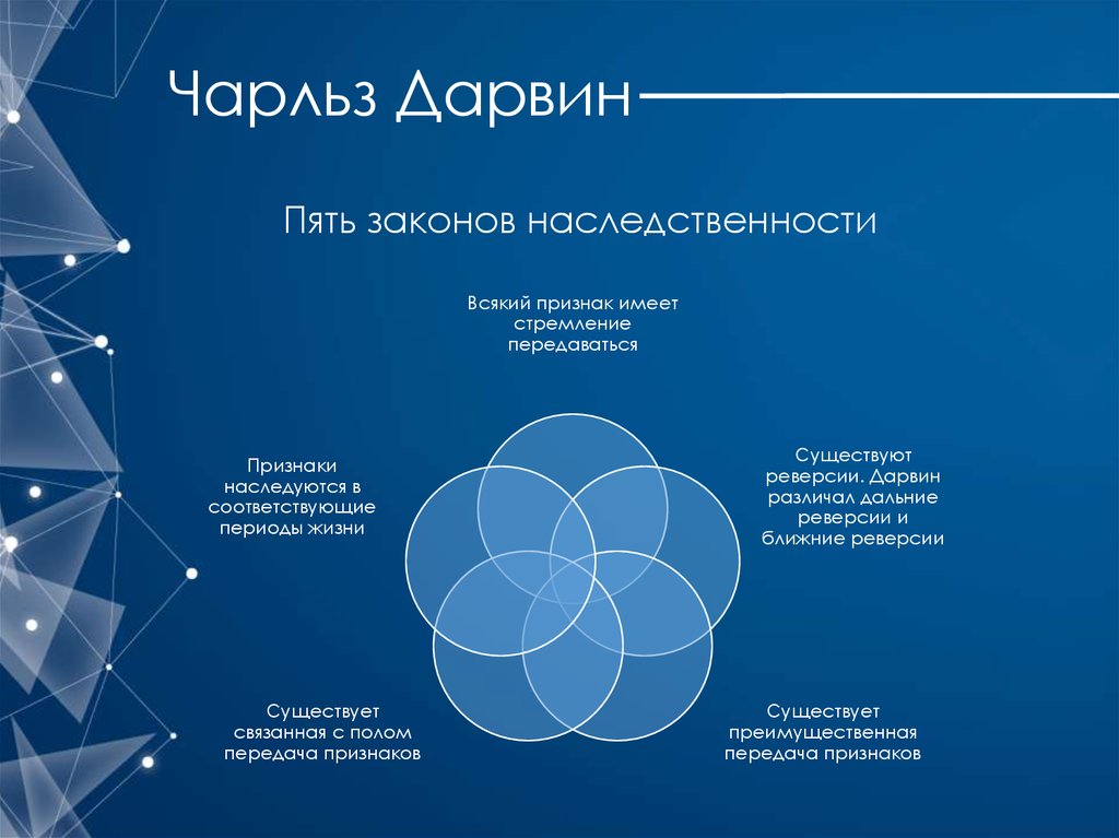 Закон дарвинизма. Законы Чарльза Дарвина. Закон наследственности Дарвина. Дарвиновский закон. Наследственность Дарвин.