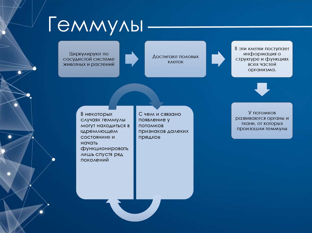 Теория пангенезиса. Временная гипотеза пангенезиса. Временной гипотезе пангенезиса».. Геммулы.