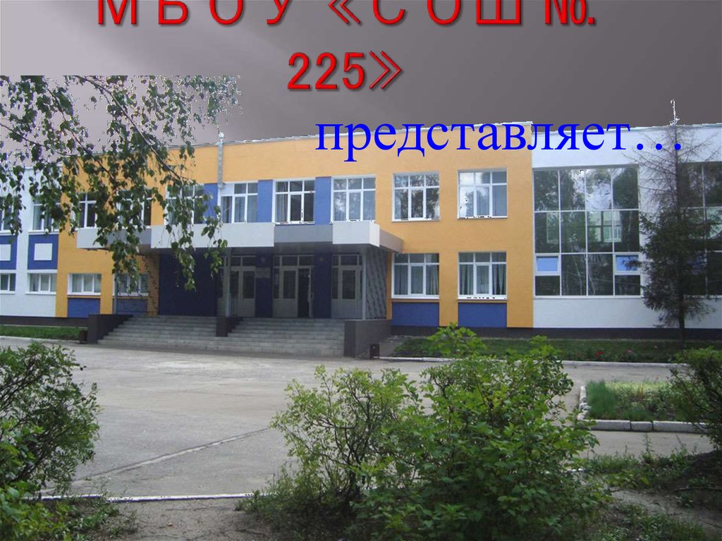 МБОУ «СОШ № 225»
