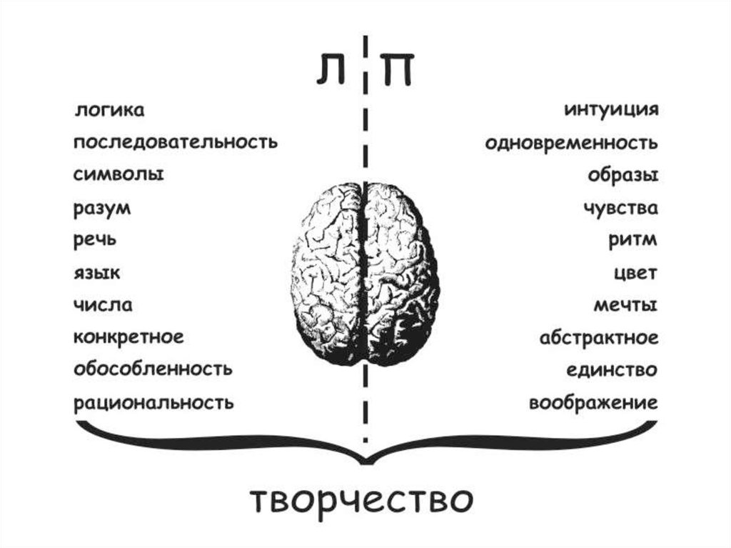 Что отвечает за создание образа изображения