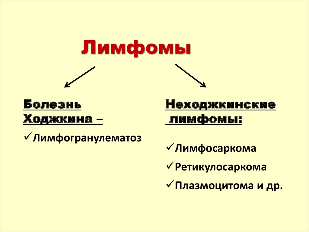 Лимфома ходжкина и неходжкинские лимфомы