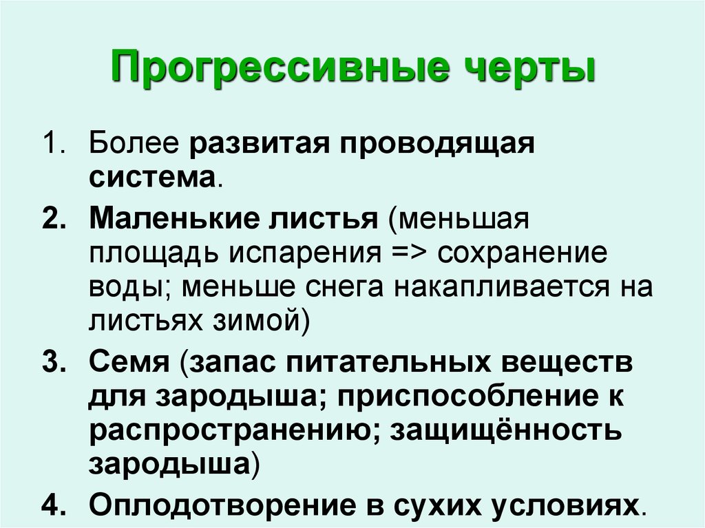 Прогрессивные черты это в биологии. Развитая Проводящая система. Прогрессивные черты это. Прогрессивные черты политики.