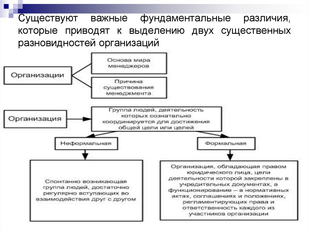 Существуют важные фундаментальные различия, которые приводят к выделению двух существенных разновидностей организаций