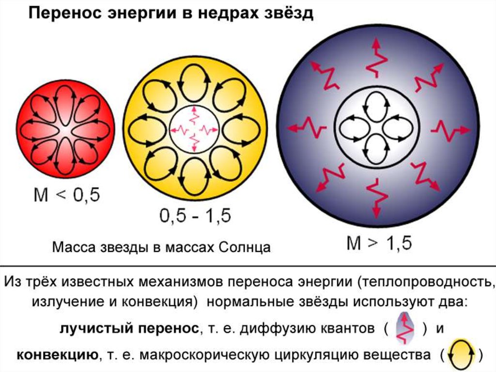 Строение звезды рисунок