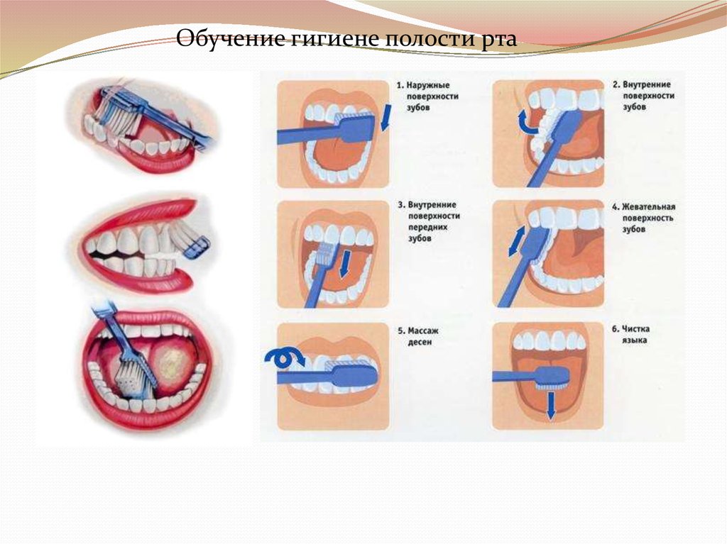 Презентация профилактика заболеваний полости рта