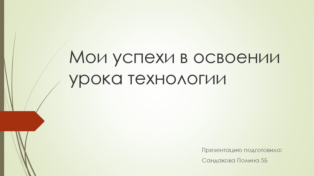 Презентация мои успехи в освоении технологии 6 класс