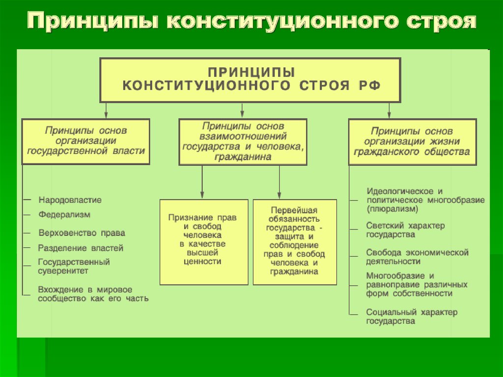 Принципы конституционного строя рф план