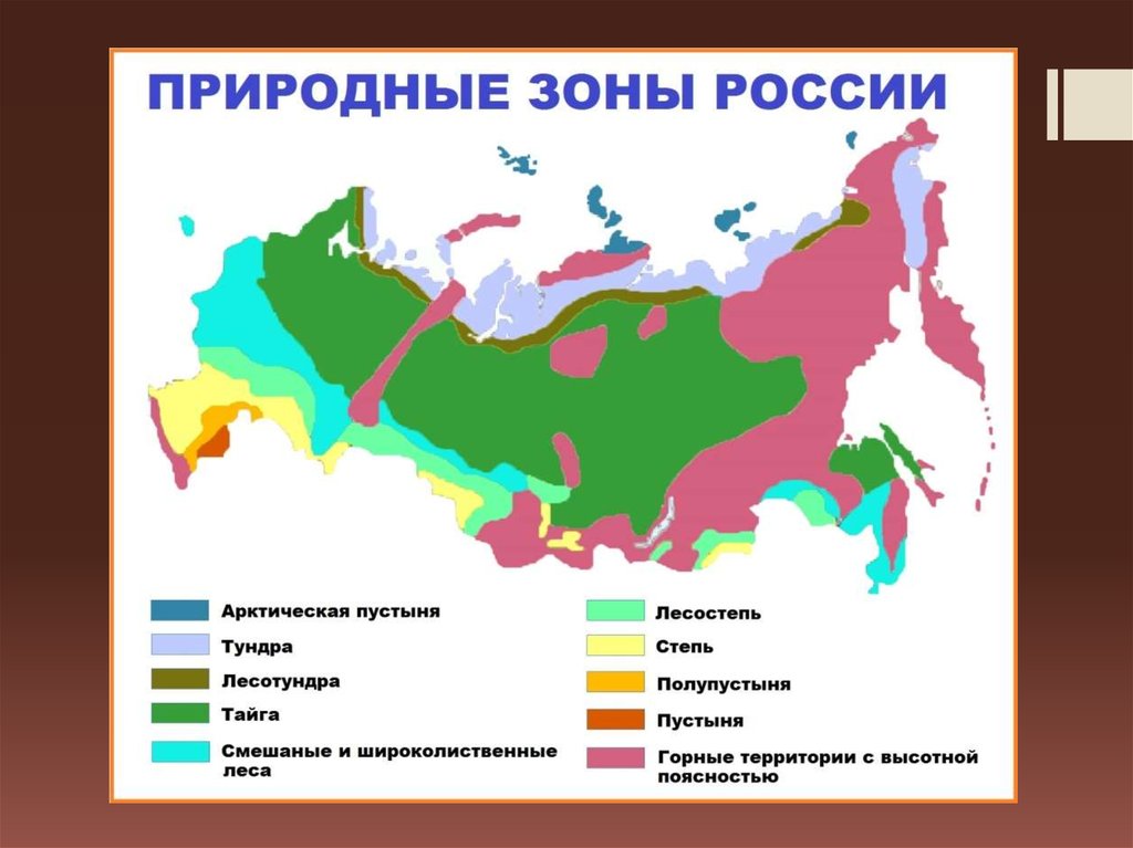 Природными зонами называют. Природные зоны и природные сообщества.