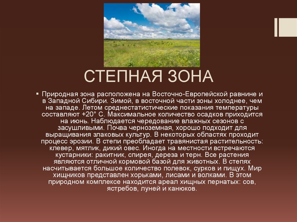 Степная зона сообщение. Степи Западно сибирской равнины. Степная зона Сибири. Степная зона Западно сибирской равнины. Степь природная зона.