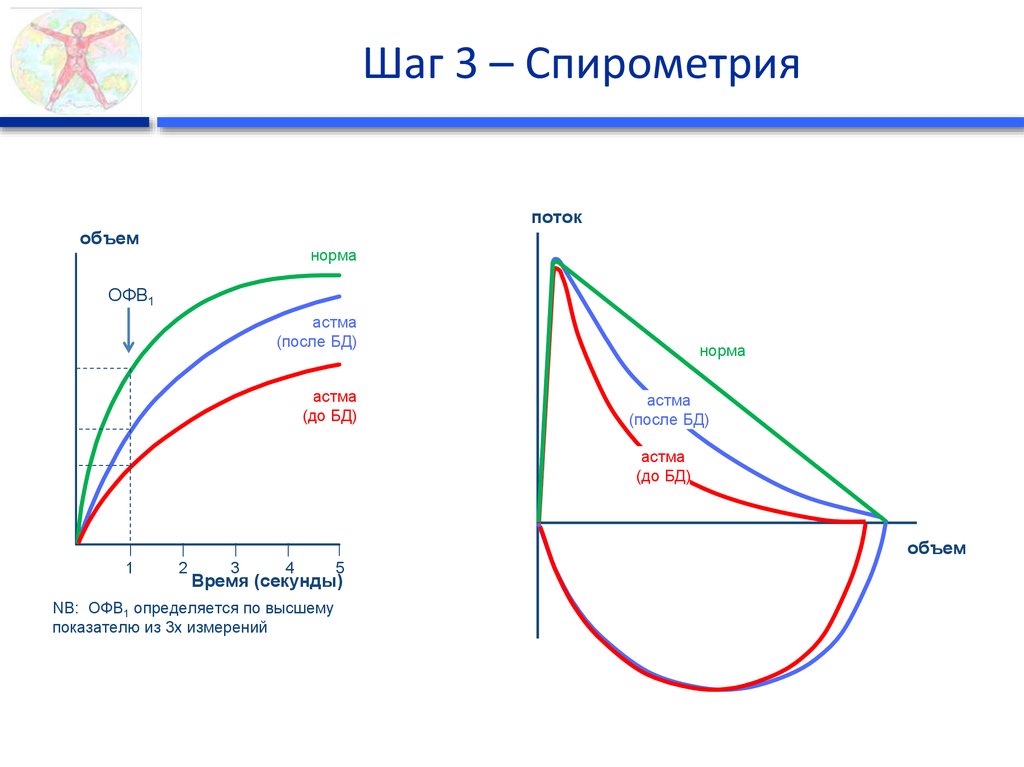 Заключение спирометрии образец