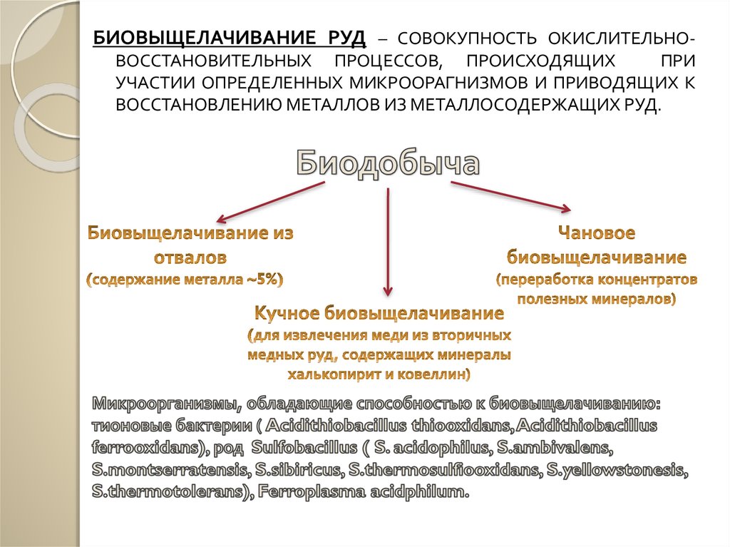 Биогеотехнология металлов презентация