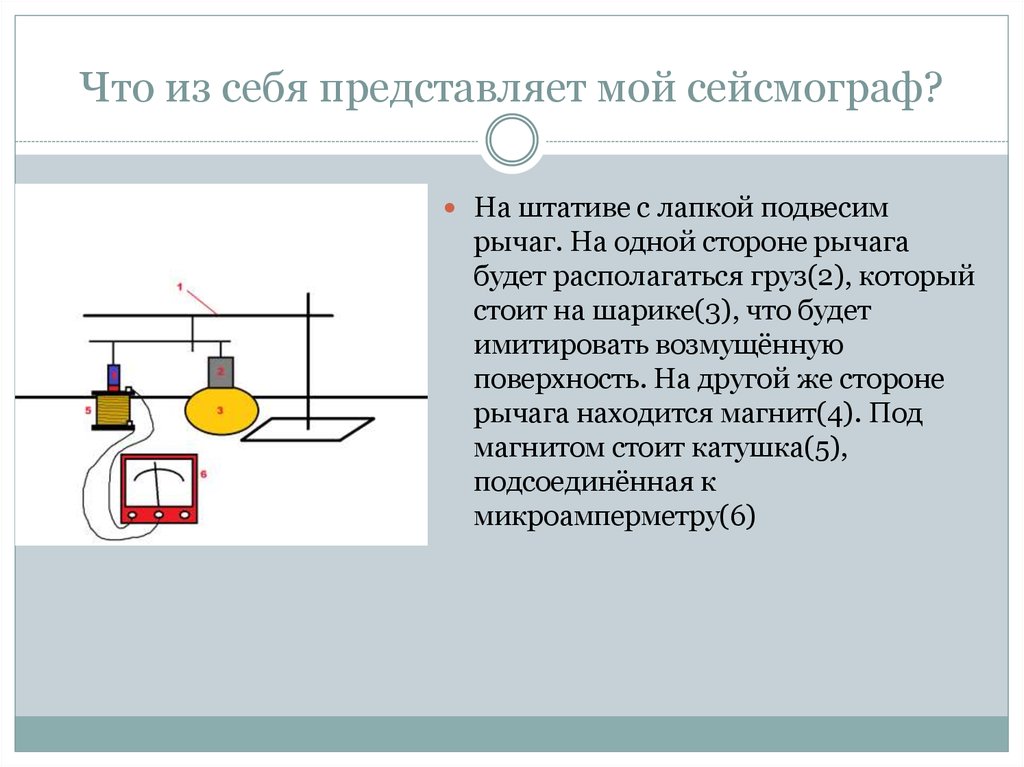 Живые сейсмографы проект по физике