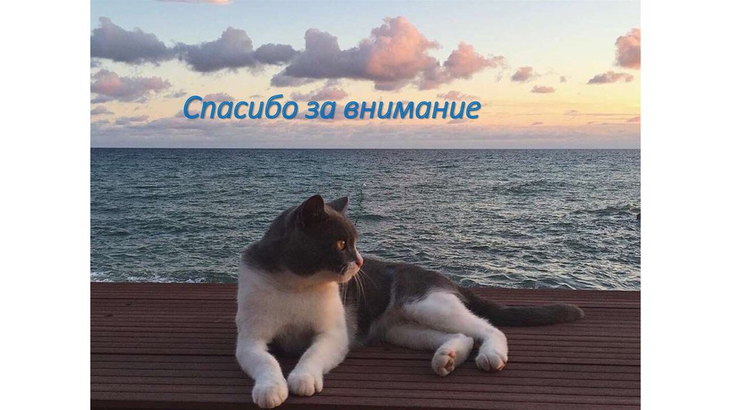 Спасибо за внимание