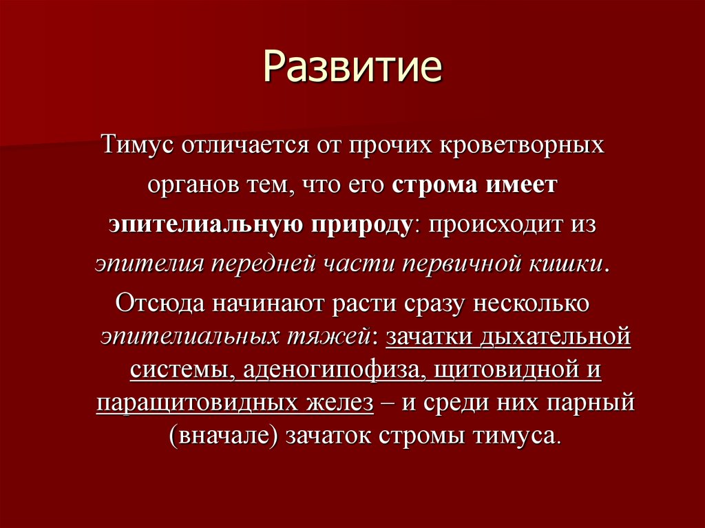 Развитие железа. Источник развития тимуса. Развитие тимуса гистология. Вилочковая железа развивается:. Эмбриогенез тимуса.