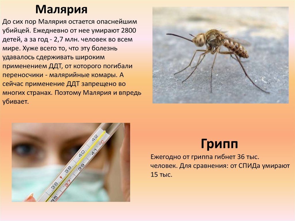 Малярия является заболеванием человека. Малярия симптомы и профилактика.