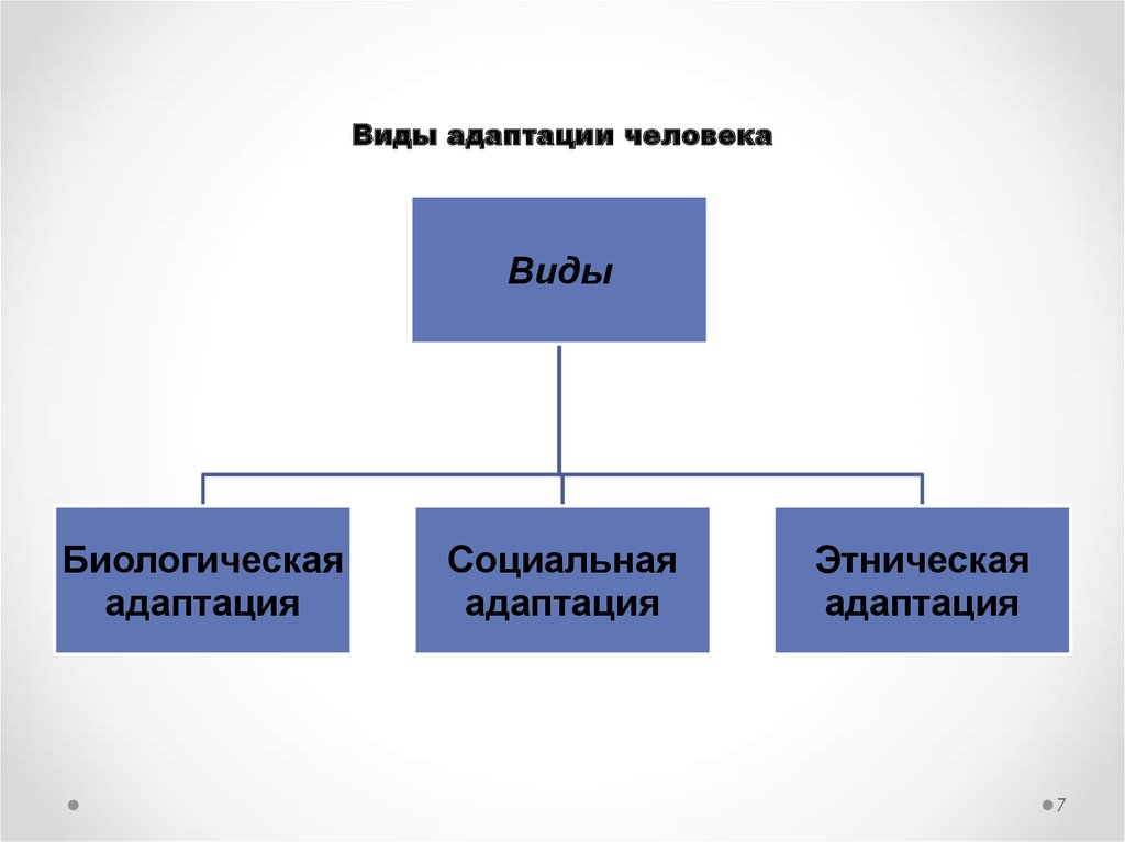 Какие виды адаптации