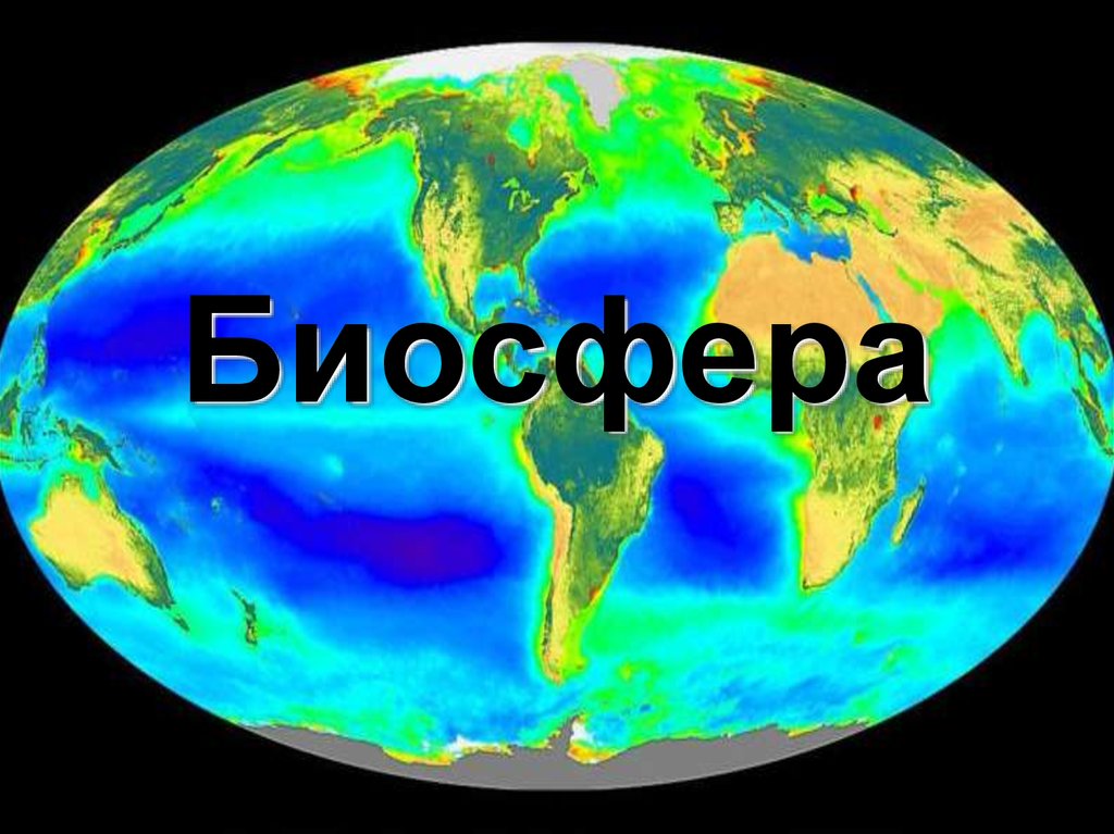 Биосфера 6 класс география презентация география