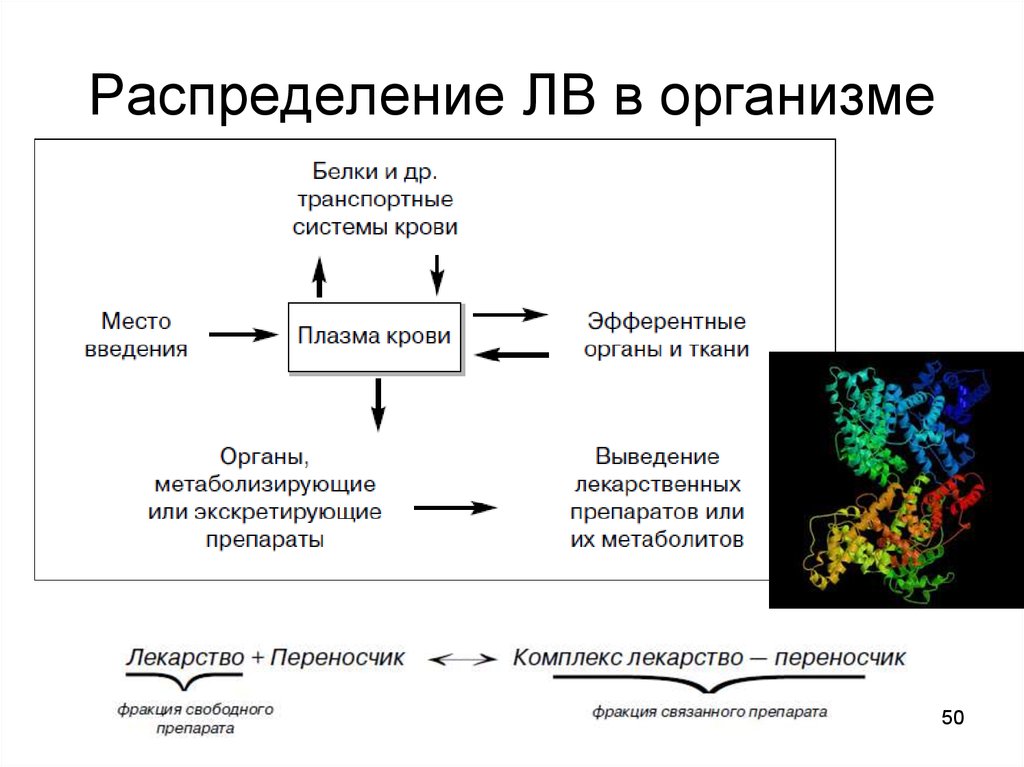 Биофармация факторы