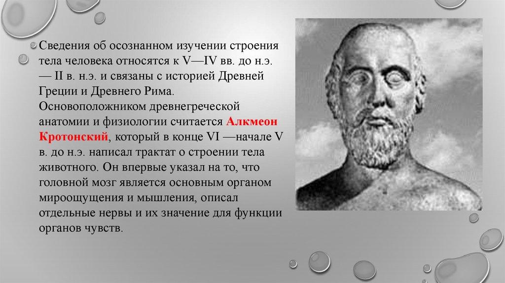 Человечество реферат. Древняя Греция анатомия изучение. Анатомия в древней Греции. Алкмеон основные идеи. Алкмеон Кротонский основные идеи.