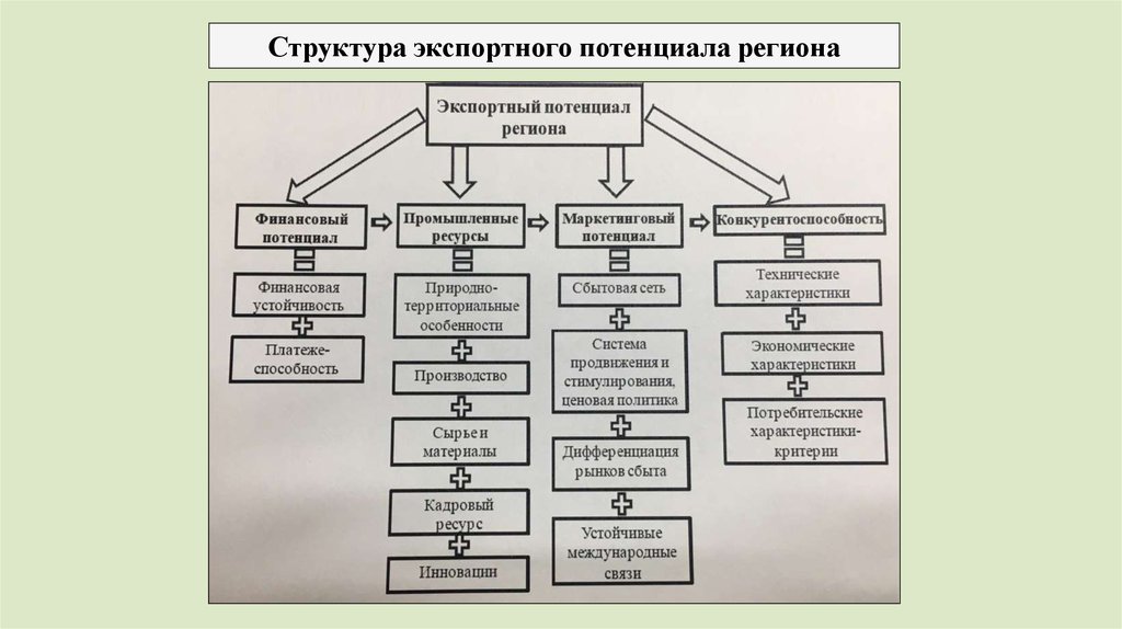 Структура экспортного потенциала региона