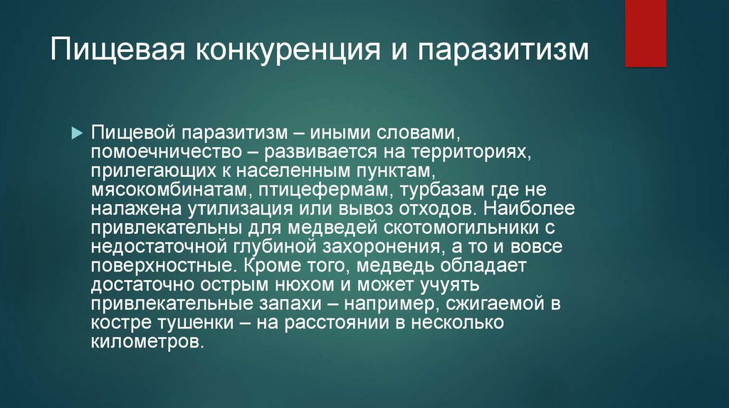 Конкурирующие отношения. Пищевая конкуренция. Паразитическая конкуренция. Конкуренция паразитизм. Пищевые конкуренты.